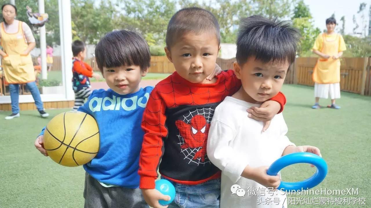 2017年新课程标准理念,2017年教学大纲哪年用