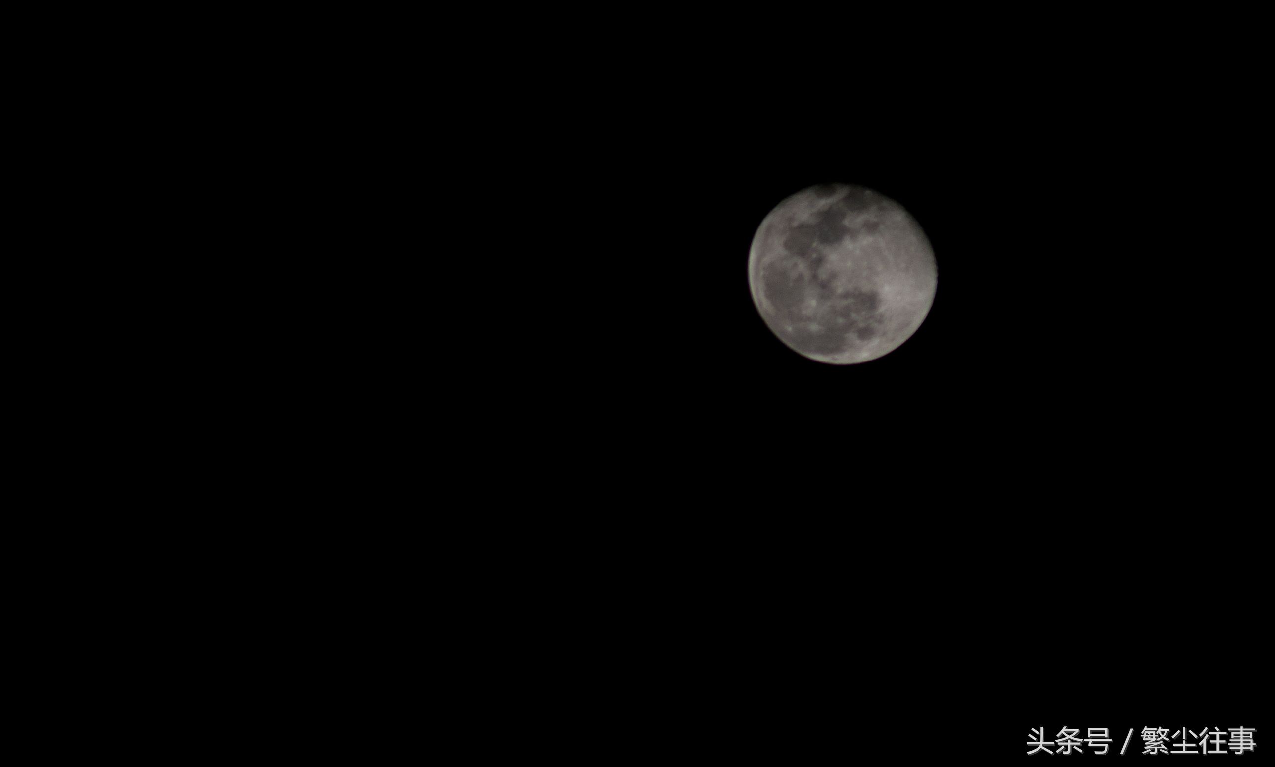 三猪时代，家族呼朋唤友，如今安在？