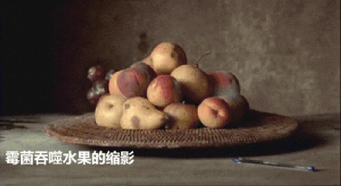 回南天的霉菌用什么擦洗,回南天霉菌怎么消