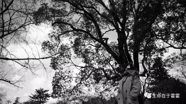 拉面 · 自动贩售机 · 雪｜云之彼岸的日本欢脱之旅