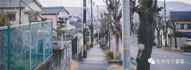 拉面 · 自动贩售机 · 雪｜云之彼岸的日本欢脱之旅