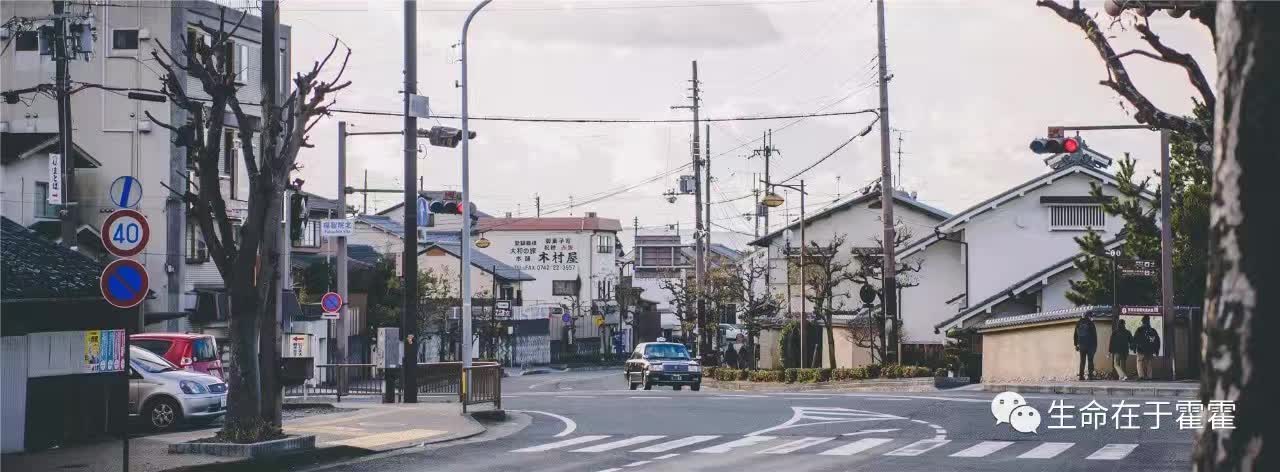 拉面 · 自动贩售机 · 雪｜云之彼岸的日本欢脱之旅