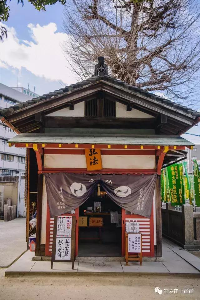 拉面 · 自动贩售机 · 雪｜云之彼岸的日本欢脱之旅