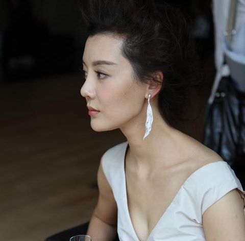 车晓整鼻子了吗,和车晓鼻子很像的明星