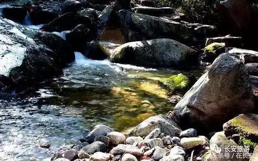 东莞长安有什么好玩的景点,东莞长安景点哪个值得去