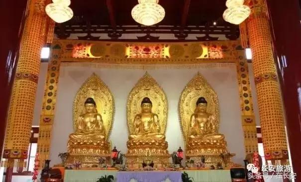 东莞长安有什么好玩的景点,东莞长安景点哪个值得去