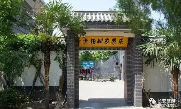 东莞长安有什么好玩的景点,东莞长安景点哪个值得去