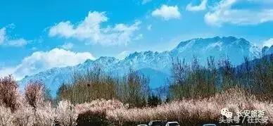 东莞长安有什么好玩的景点,东莞长安景点哪个值得去