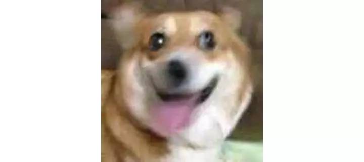 那些年我们买错的商品,那些年我们买过的品牌