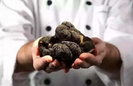 山葵和芥末味道差别大吗,日本的芥末到底是山葵还是辣根