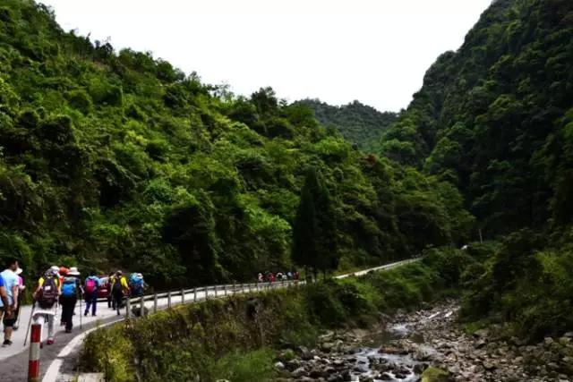 成都春季爬山踏青赏花一日游,成都周边踏青二日游自驾游