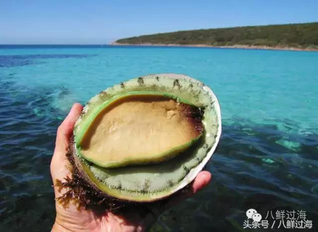 澳洲海鲜什么值得推荐,去澳大利亚可以带的食品有哪些