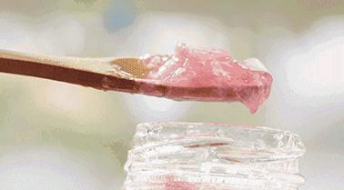 樱花限定款,一起粉出少女味|时令