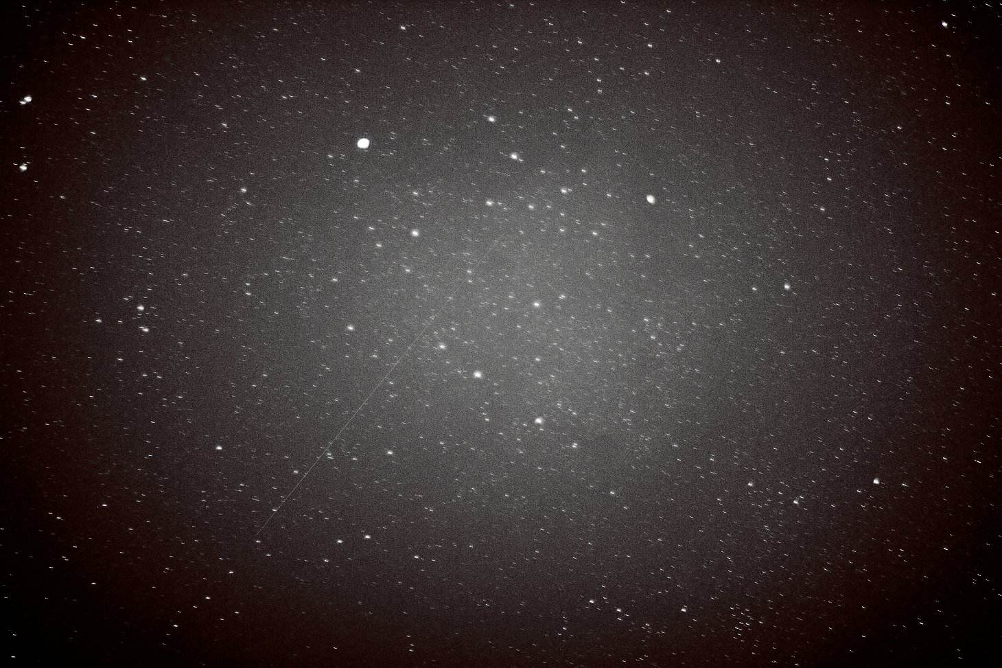 牛郎星属于哪个星座,织女星属于什么星座