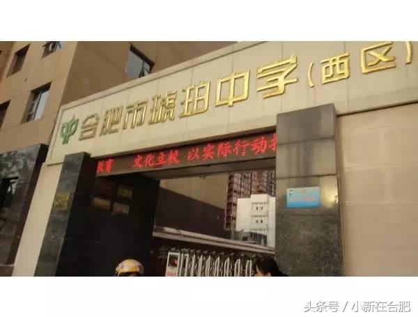 合肥琥珀五环城中学,合肥琥珀中学在哪个区