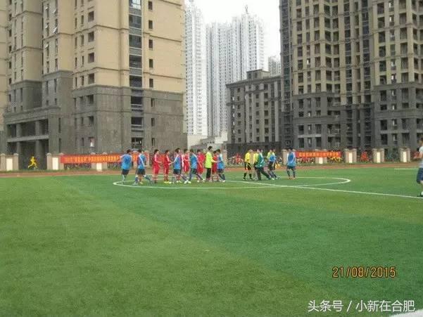 合肥琥珀五环城中学,合肥琥珀中学在哪个区