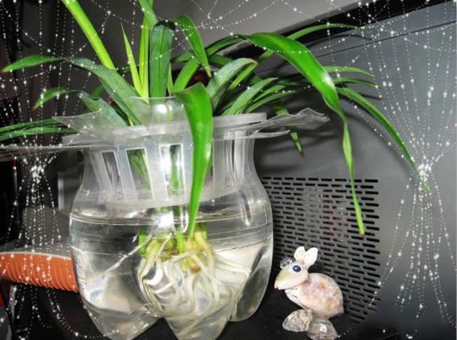 如何用塑料瓶做花盆图解,怎么用塑料瓶做花盆图解