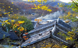 农家学习趣事大全集,农家院趣事