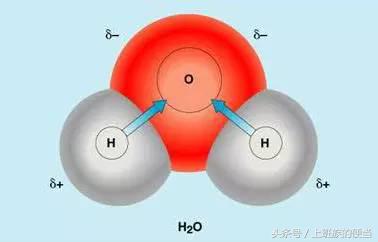 微波炉加热食物会致癌？很多人家里不用微波炉？