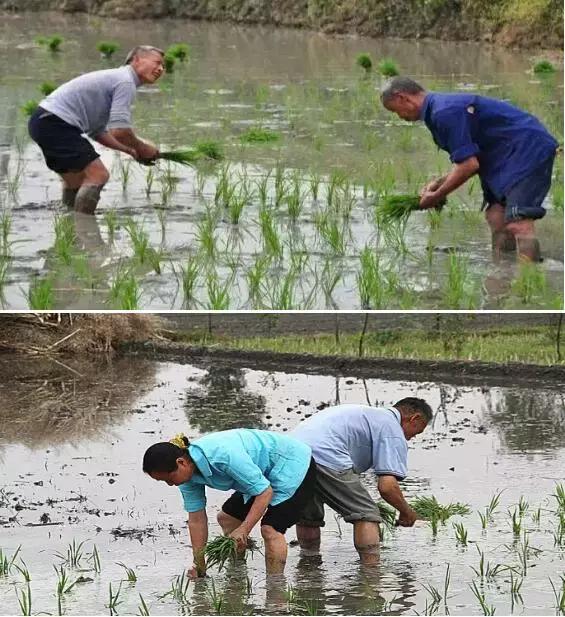 农村这些农活，做过5个的顶起，特别是第七个！