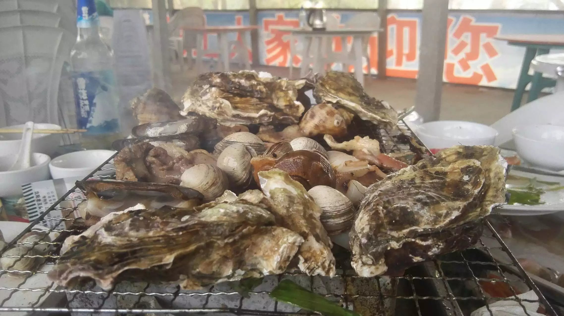 美丽的海滨城市营口鲅鱼圈,营口市鲅鱼圈十年变化