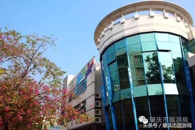 肇庆最好的学院有哪几个,肇庆市最美学校