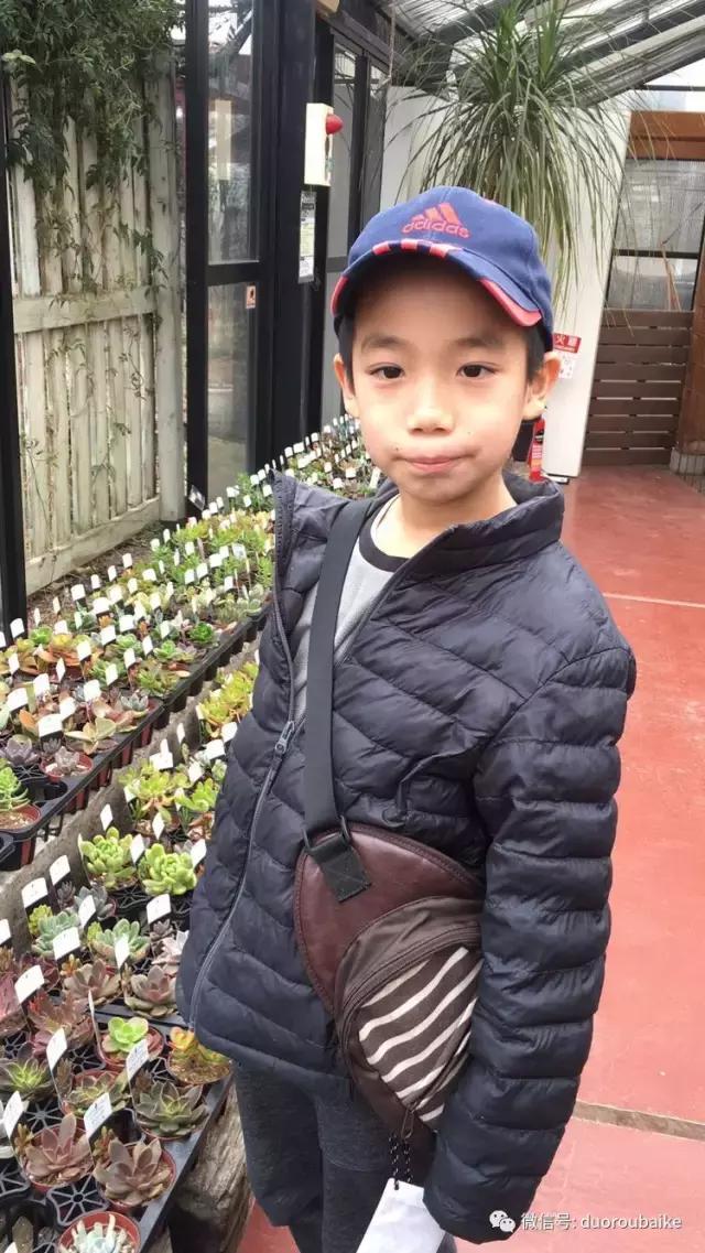 走进多肉园视频,走进日本的南瓜种植