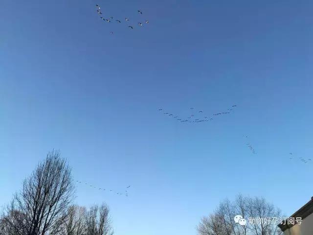 保胎的正确方法和技巧 (中药保胎和西药保胎能同时用药吗)