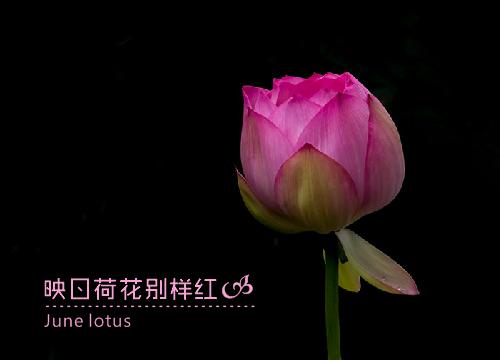 coreldraw怎么编辑竖排文字,coreldraw文字竖方向排版