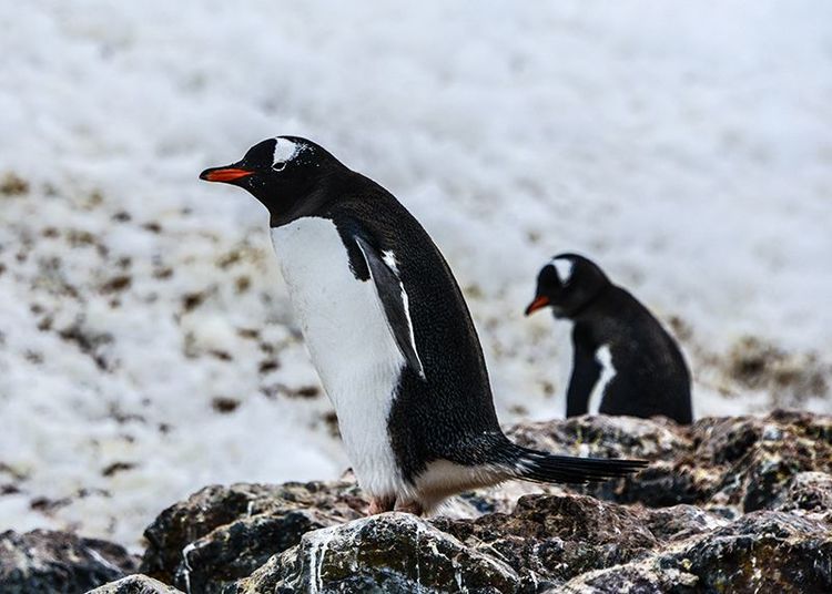 嗨哩文旅丨在世界的尽头的九个日日夜夜
