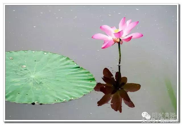 爱家乡的感受,爱家乡的美食美景