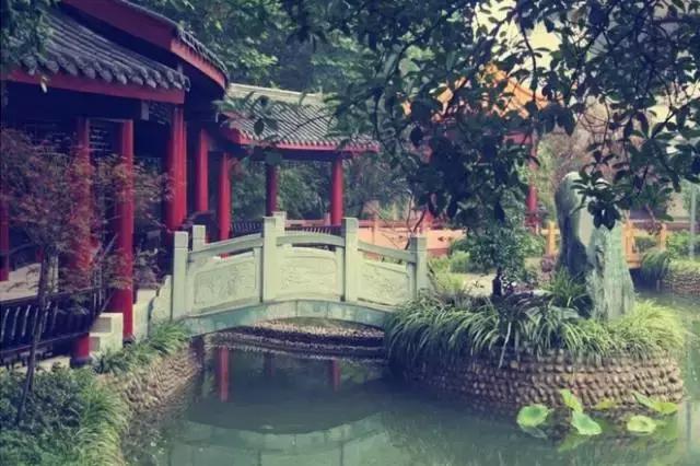 成都十大中华老字号,成都最牛的十二所中学