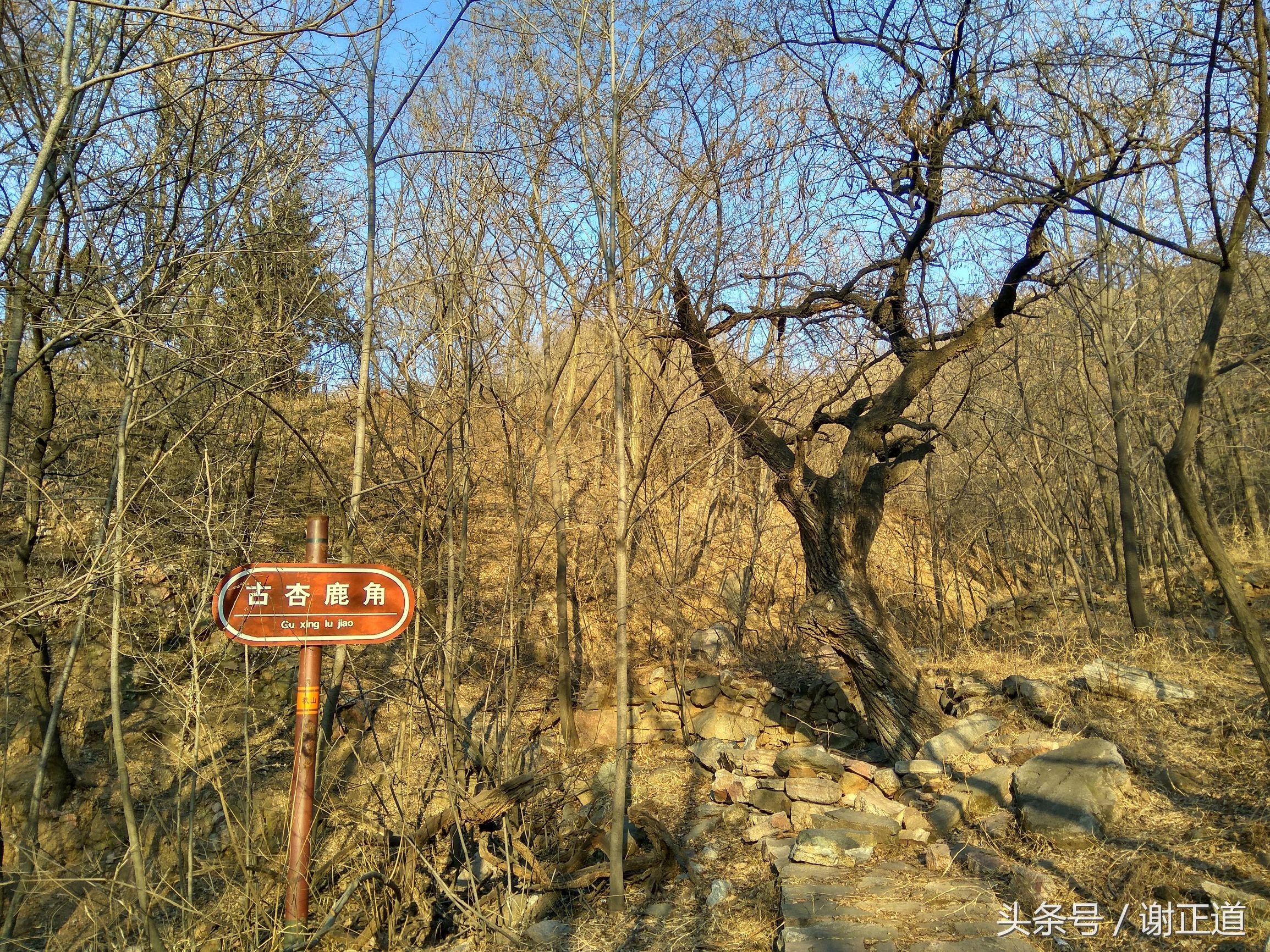 灵寿秋山风景区攻略,灵寿秋山自然风景区电话