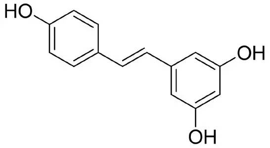 喝酒能缓解老年痴呆!别不信,科学家们说的!