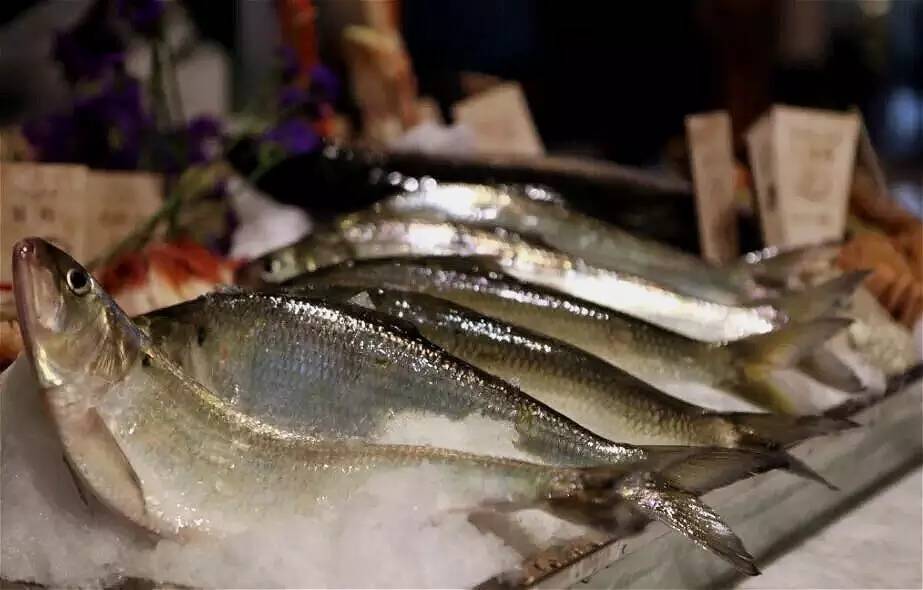 江鲜春季,春天江鲜