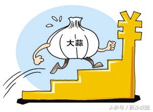 分享两个真实股票案例,股权期权案例视频讲解