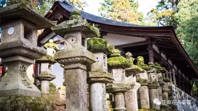 拉面 · 自动贩售机 · 雪｜云之彼岸的日本欢脱之旅