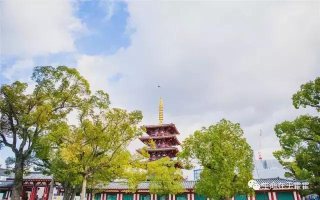 拉面 · 自动贩售机 · 雪｜云之彼岸的日本欢脱之旅