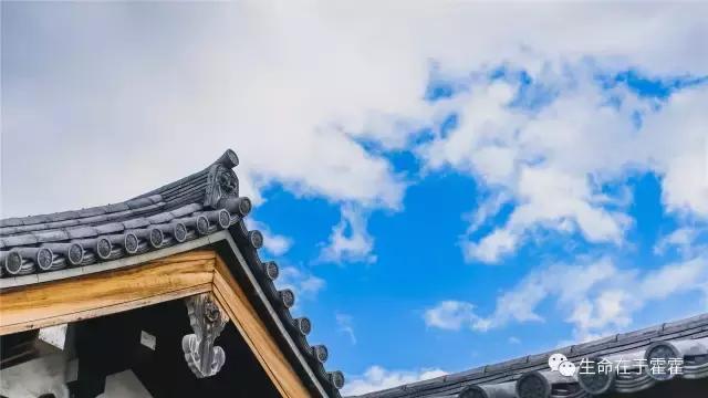 拉面 · 自动贩售机 · 雪｜云之彼岸的日本欢脱之旅