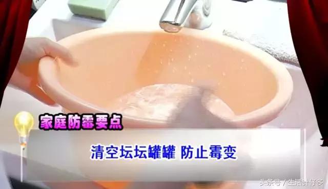 回南天的霉菌用什么擦洗,回南天霉菌怎么消