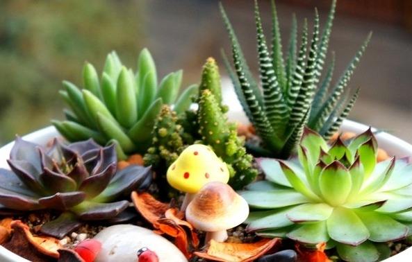 干枯的花怎么救活,花干枯了怎么救活