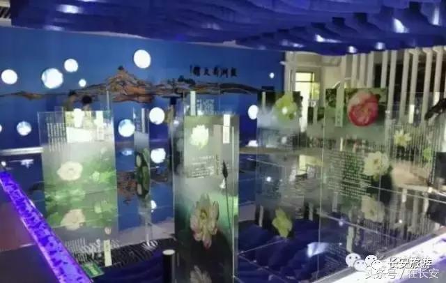 东莞长安有什么好玩的景点,东莞长安景点哪个值得去