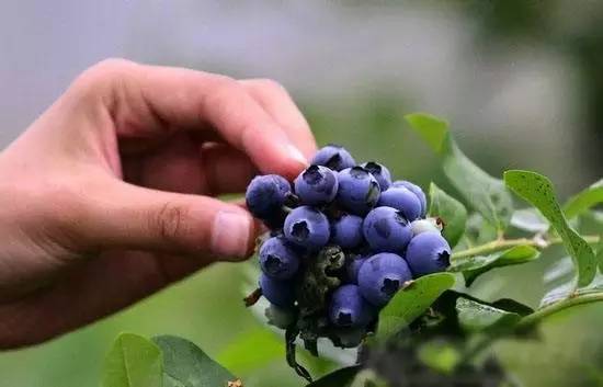 word天！大金普这60个好地方够你玩上一整年！