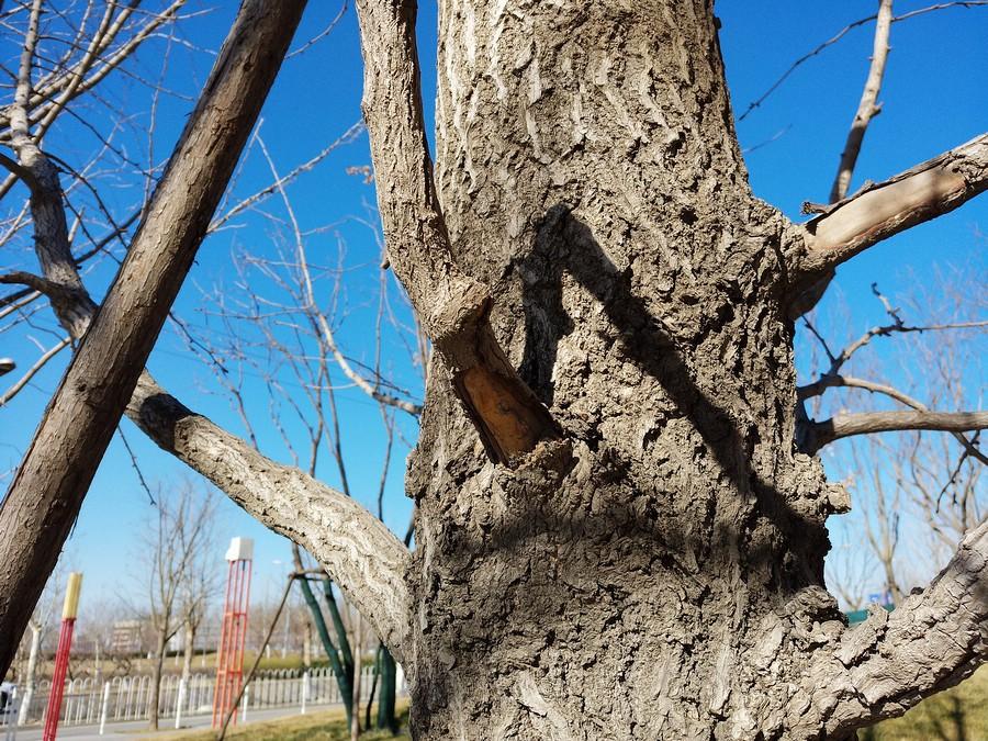 美图t8s手机测评,美图t8手机评测视频