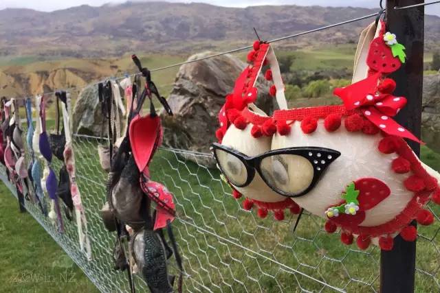 去新西兰绝对不要错过皇后镇,新西兰皇后镇自由行注意事项