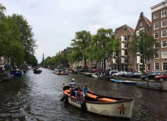 荷兰的大公司有哪些,荷兰有哪些国际大公司