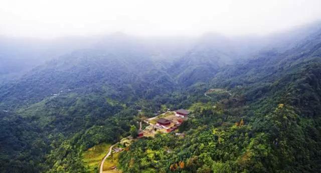 成都春季爬山踏青赏花一日游,成都周边踏青二日游自驾游
