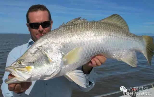 澳洲海鲜什么值得推荐,去澳大利亚可以带的食品有哪些