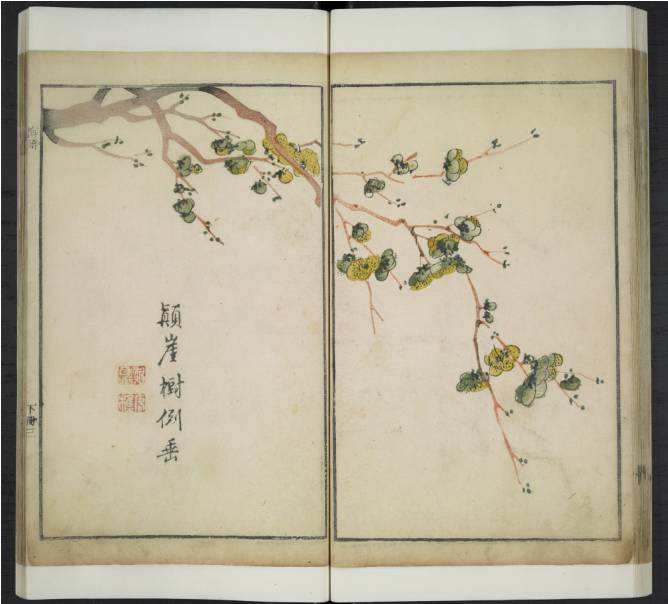 齐白石与芥子园画谱之缘,齐白石画作大全集