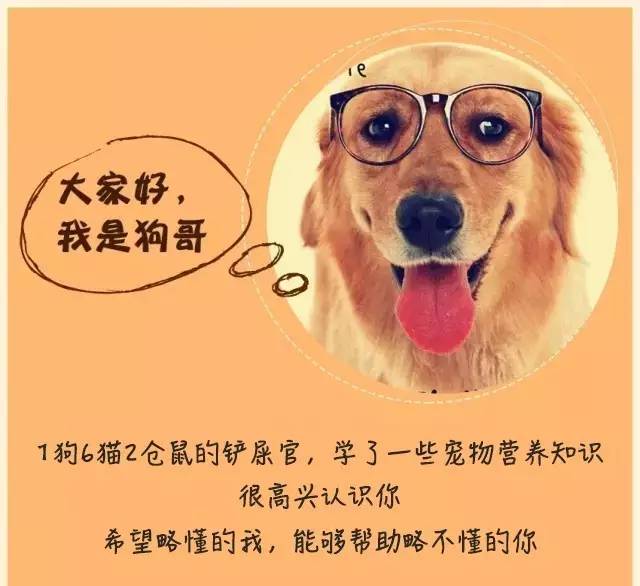 万能的洁尔阴,妇炎洁,宠物也洗洗更健康吗?